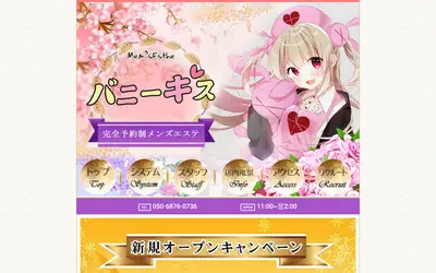 バニーキス