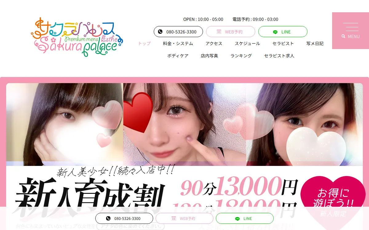 Sakura Palace（サクラパレス）静岡ルーム