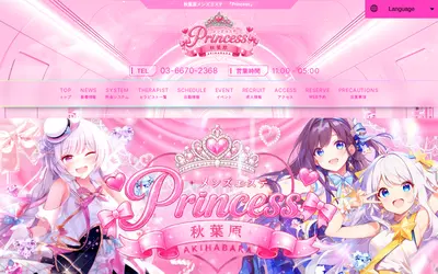 メンズエステ秋葉原Princess 神田ルーム