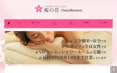 桜の花～CherryBlossoms～